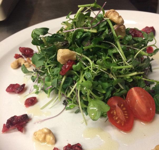 Tomato and Mozzarella Salad with Microgreens