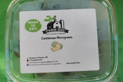 Cantaloupe Microgreens